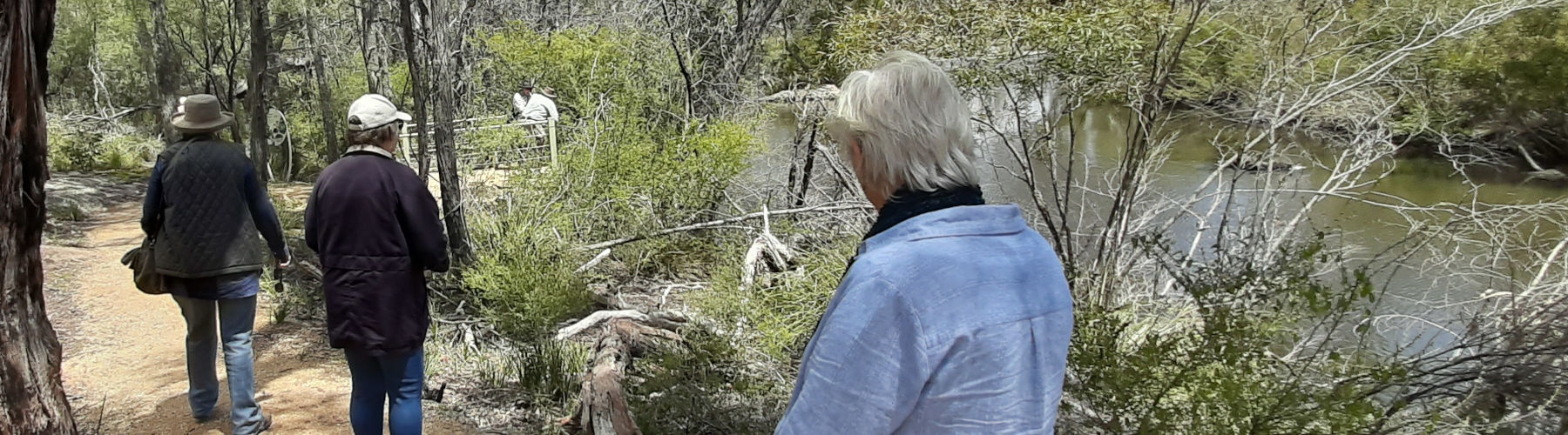 More Fun than a Barrel of Monkeys